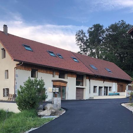 T4 Meuble De 105M2 Axe Annecy-Geneve Apartman Saint-Martin-Bellevue Kültér fotó