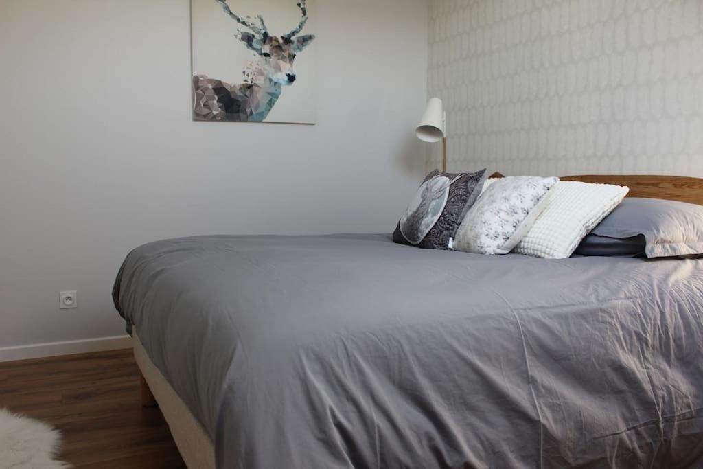 T4 Meuble De 105M2 Axe Annecy-Geneve Apartman Saint-Martin-Bellevue Kültér fotó